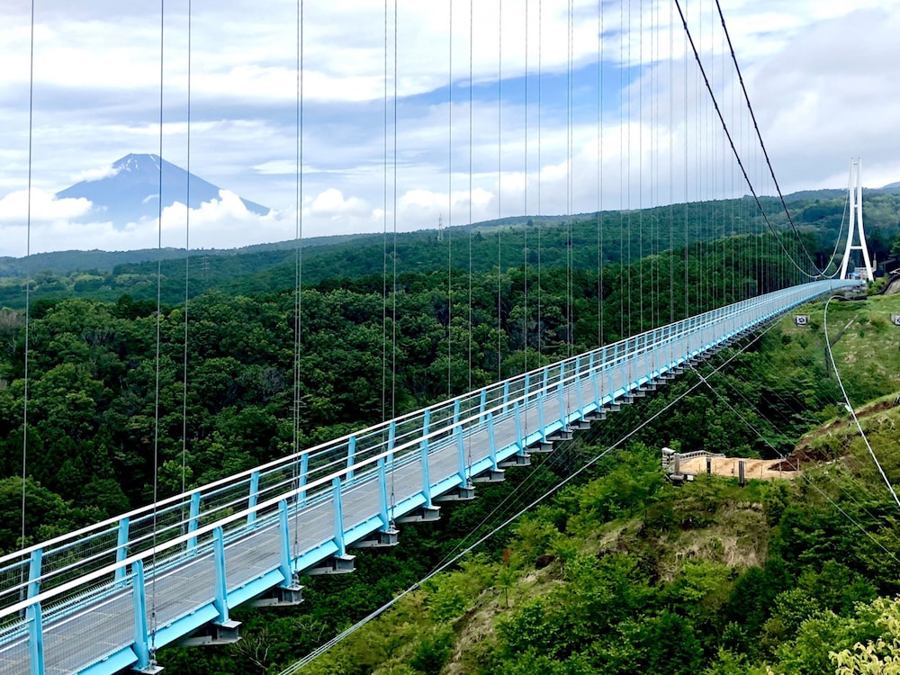 Toyoko Inn Fujisan Mishina Eki 44/45