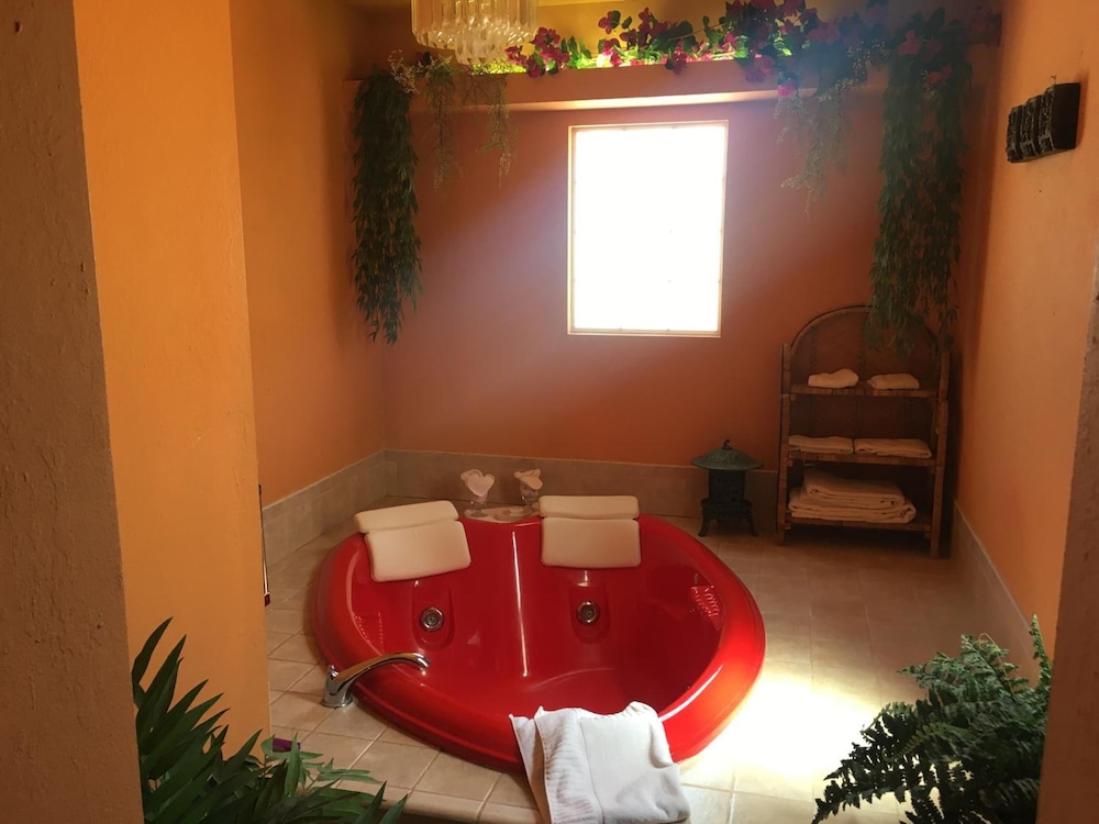 Shady Lady Bed & Breakfast 42/61