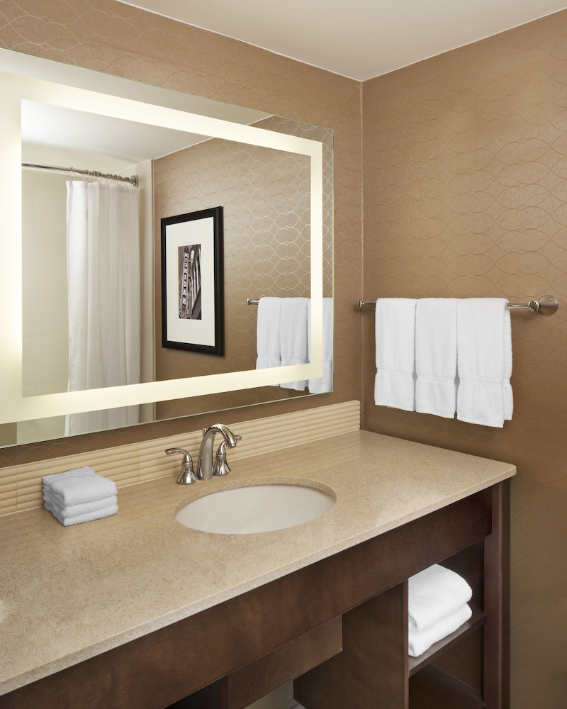 Sheraton Ann Arbor Hotel 22/65