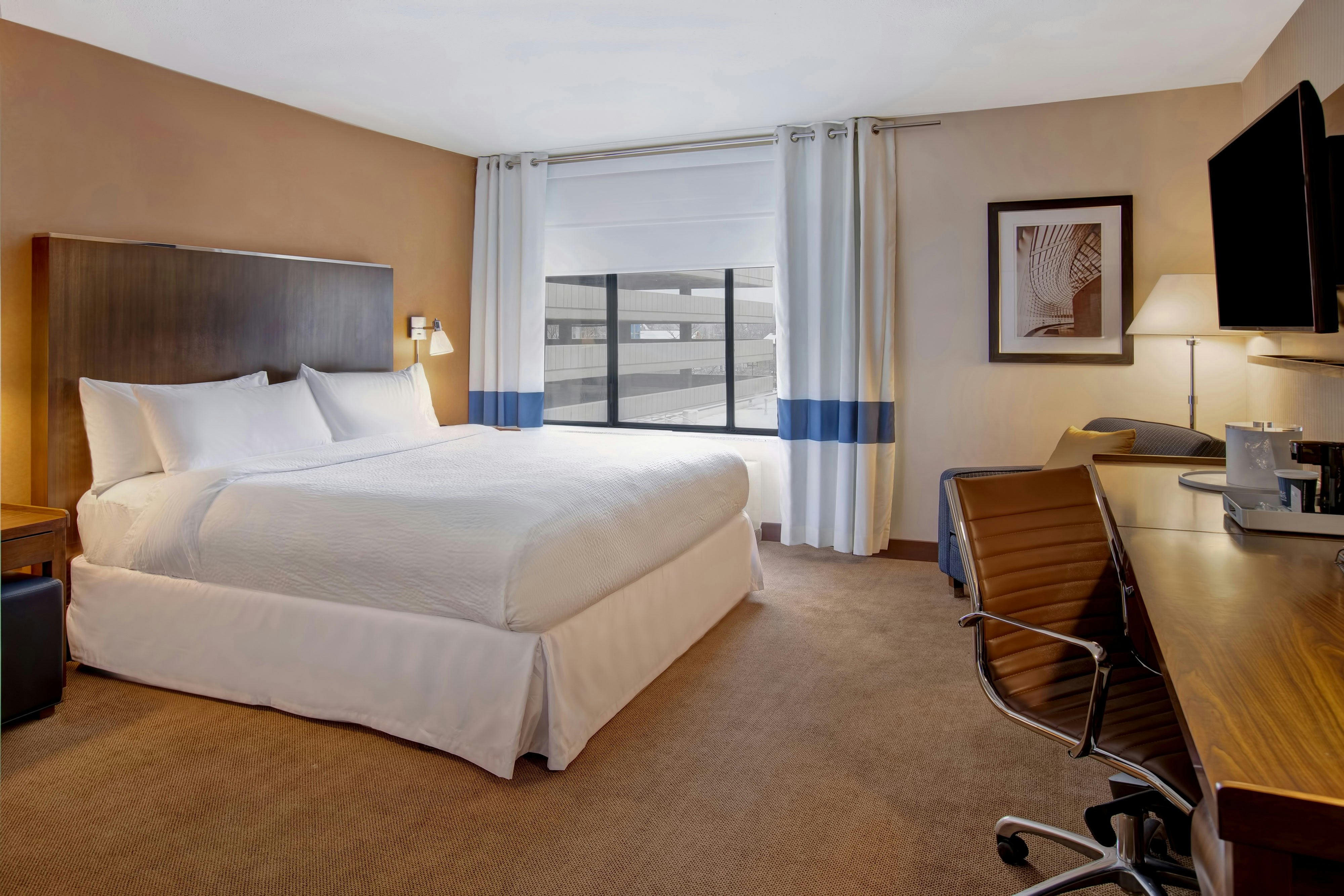 Room, King Bed