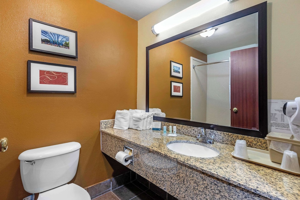 جناح استوديو بسريرين كوين، Quality Suites Addison-Dallas 4/5