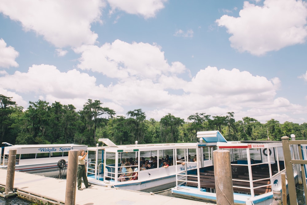The Lodge At Wakulla Springs 3/59