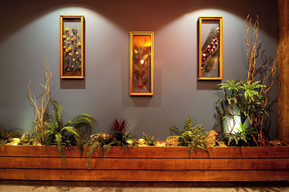 Baykara Hotel 5/50