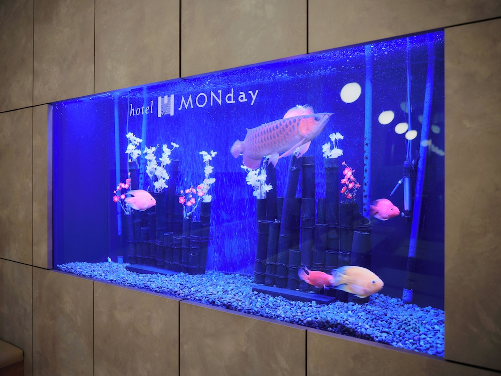 hotel MONday Premium TOYOSU 47/65