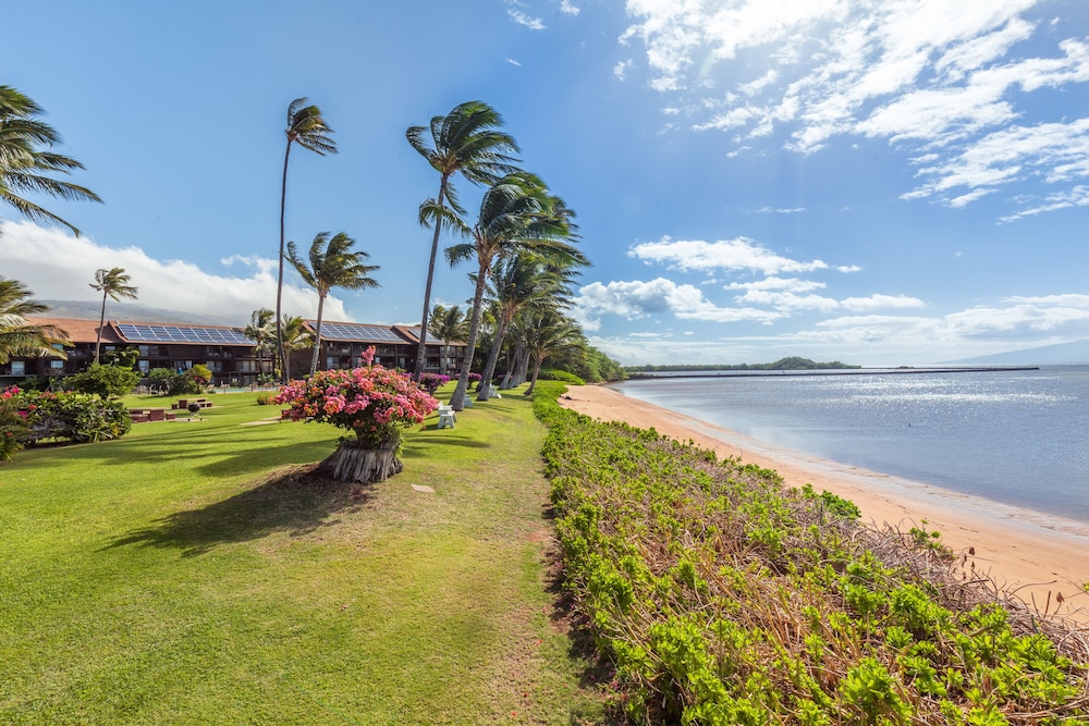 Castle Molokai Shores 43/50