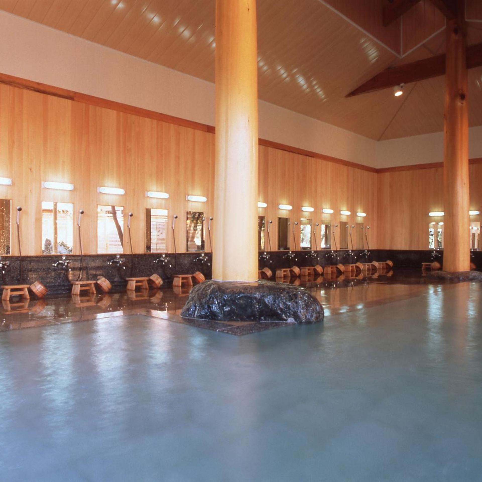 Tateyama Prince Hotel 17/34