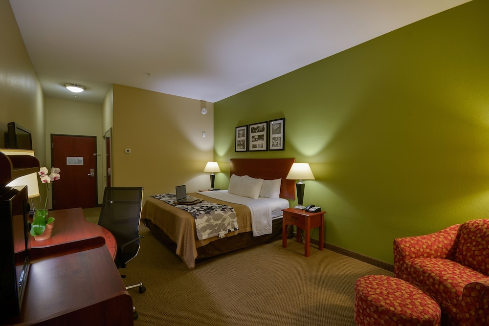 Sleep Inn Suites Pearland Houston South 16/35