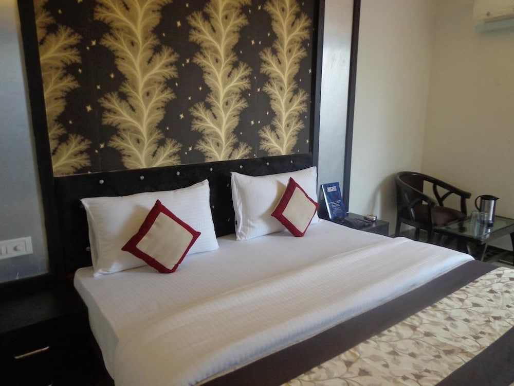 Hotel Blue Pearl Paharganj 13/50