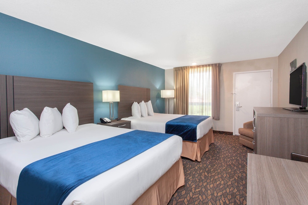 1 BEDROOM, SUITE