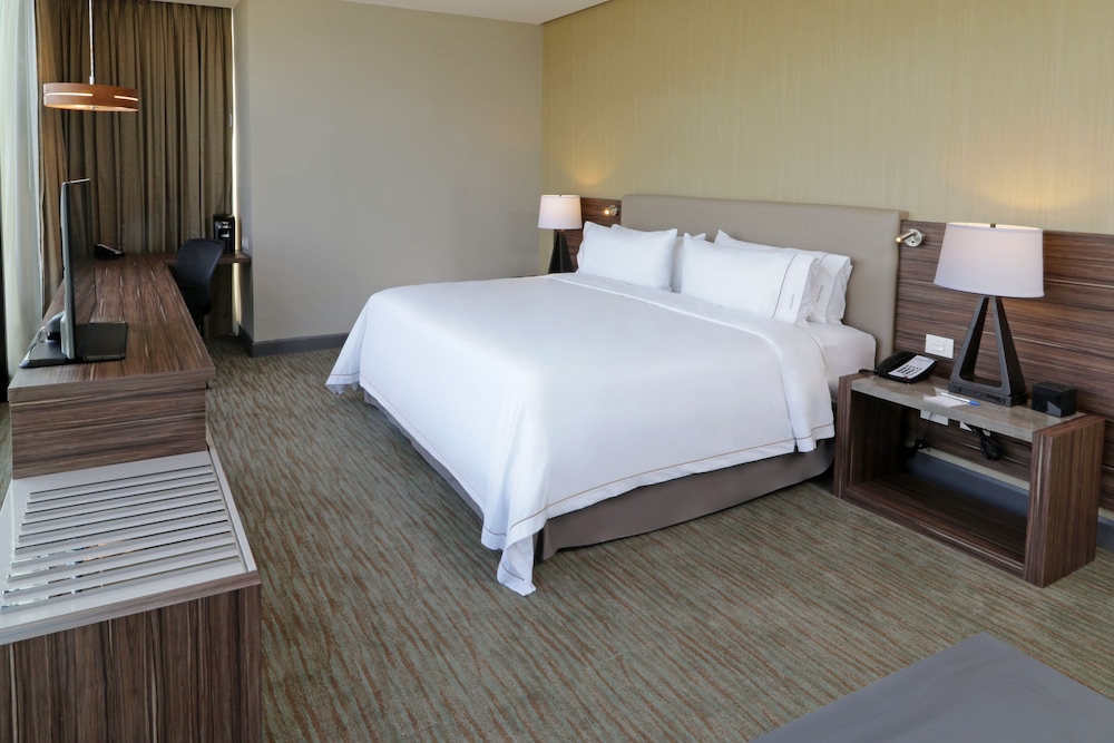 Holiday Inn Express Suites Monterrey Valle 19/74