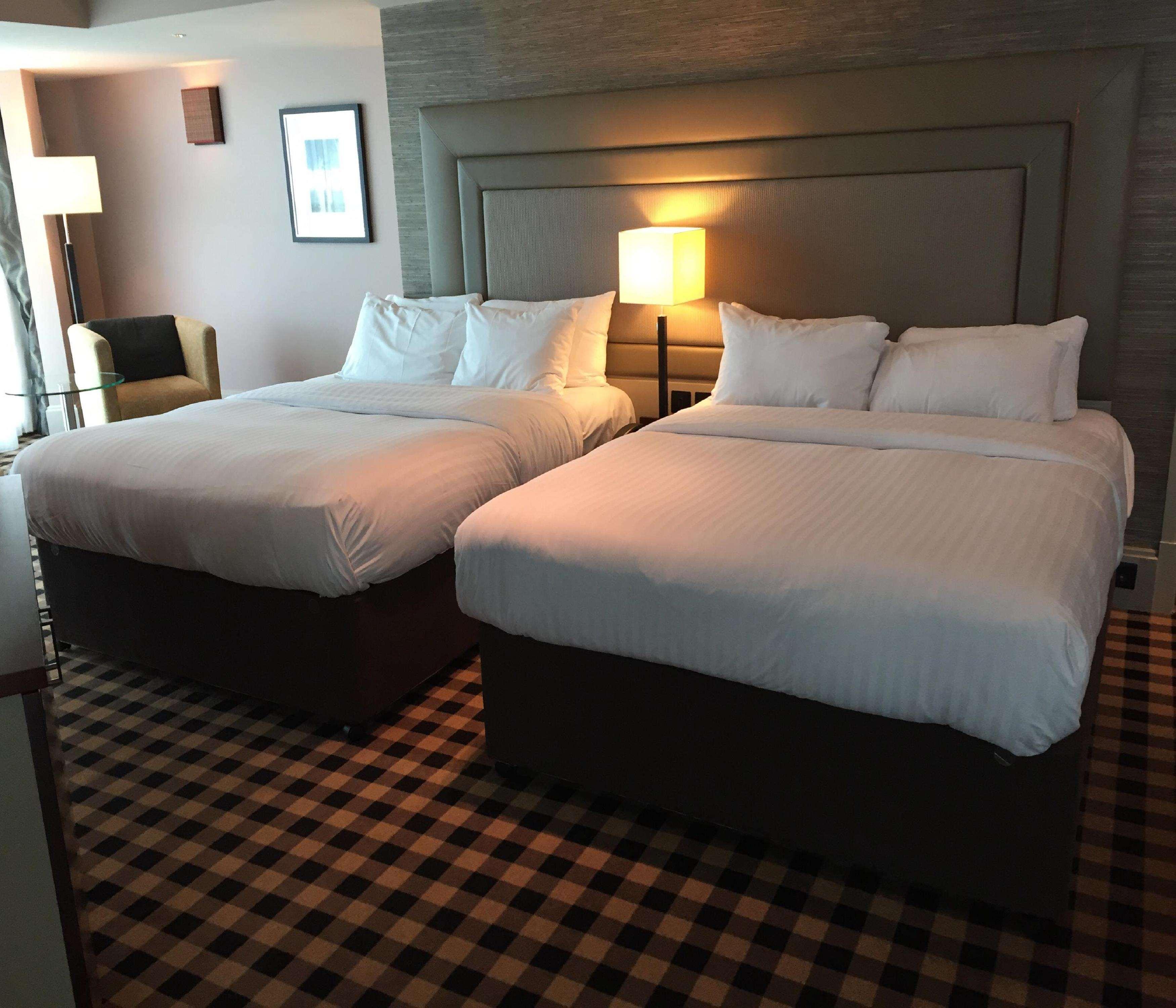 GUEST ROOM, FAMILY