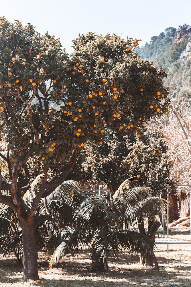 Hotel Finca Ca N'ai - Adults Only 41/50