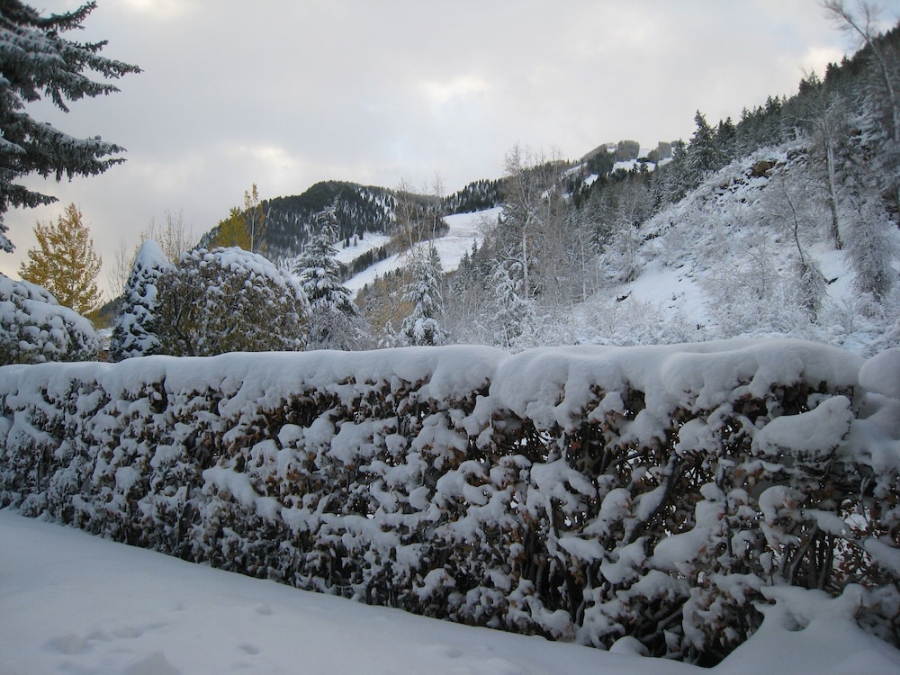St Moritz Lodge Condos 57/69