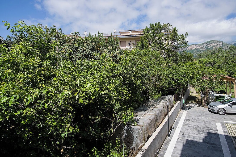 surroundings