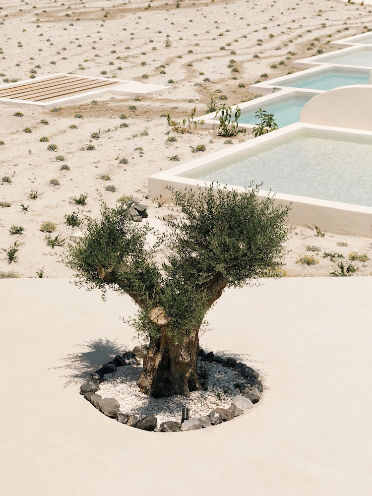 Elysian Retreat 27/41