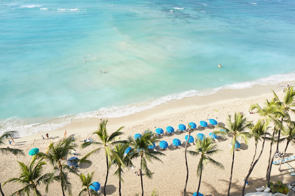 OUTRIGGER Waikiki Beach Resort 52/88