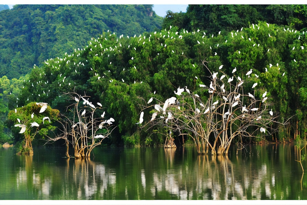 Tam Coc Ecofield Bungalow 42/50