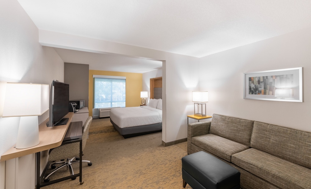 Holiday Inn Hotel And Suites Orange Park 29/55