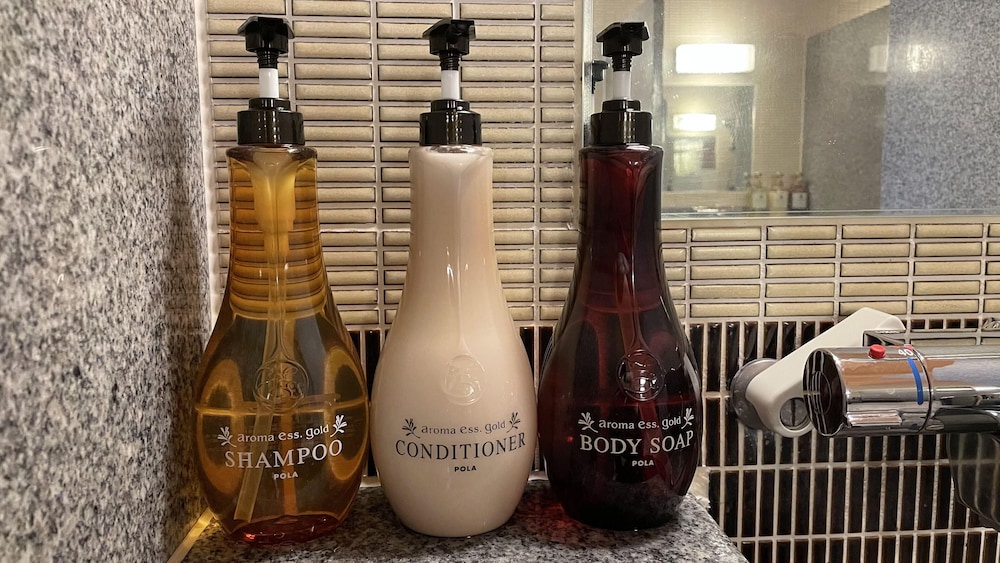 Dormy Inn Premium Kyoto Ekimae 37/37