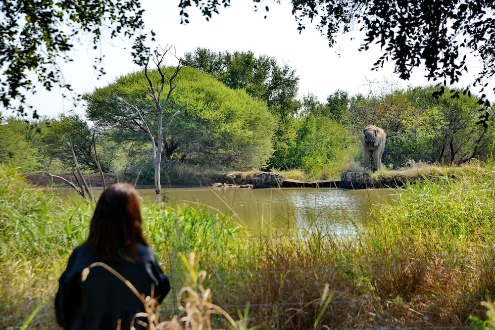 Black Rhino Game Lodge 66/69