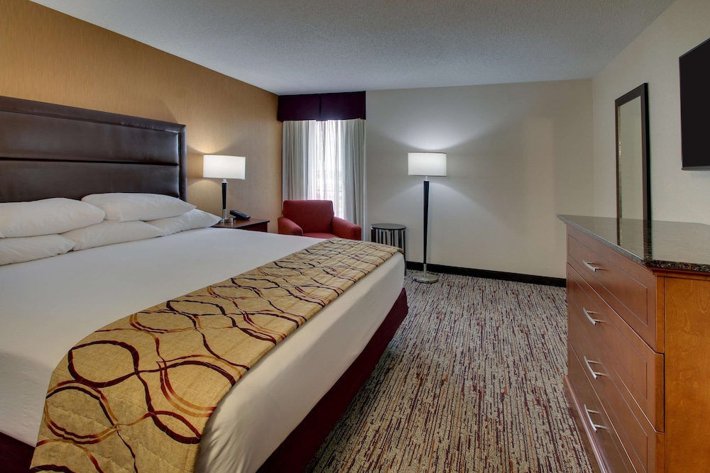 2 Rooms, Suite, King Bed, Sofa, Large, Up Floor