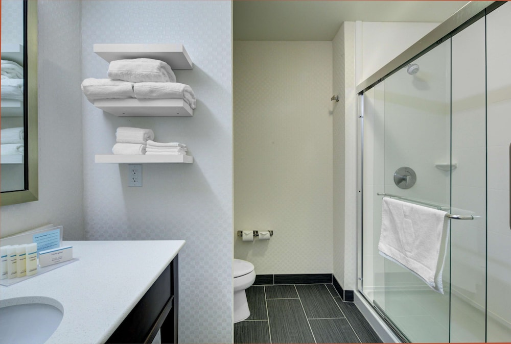 Hampton Inn And Suites Roanoke-Downtown 19/75