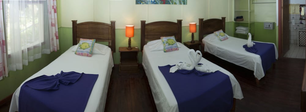 Caribbean Paradise Eco-Lodge 17/50