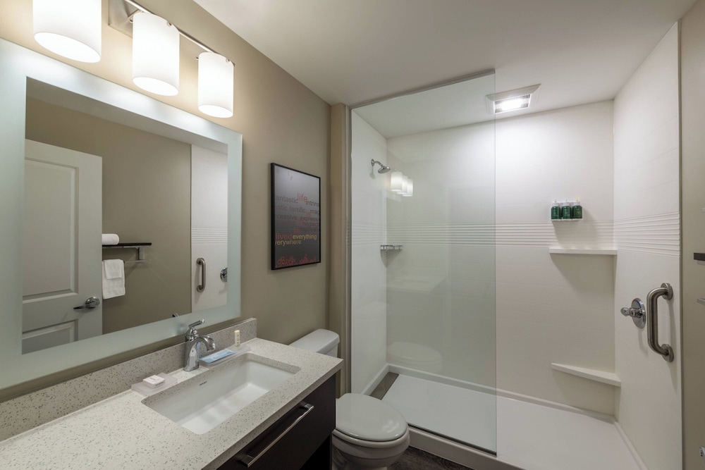 استوديو بسرير كينج مع أريكة للمدخنين لذوي الإعاقة، TownePlace Suites by Marriott St. Louis Edwardsville, IL 2/2