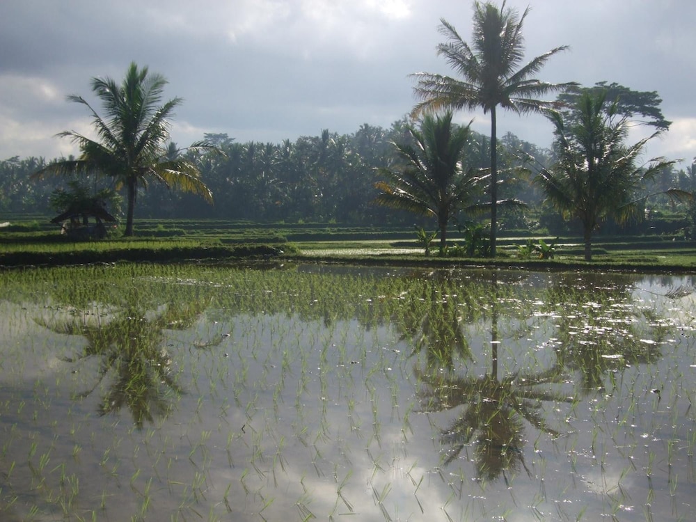 Villa Puri Darma Agung 58/65