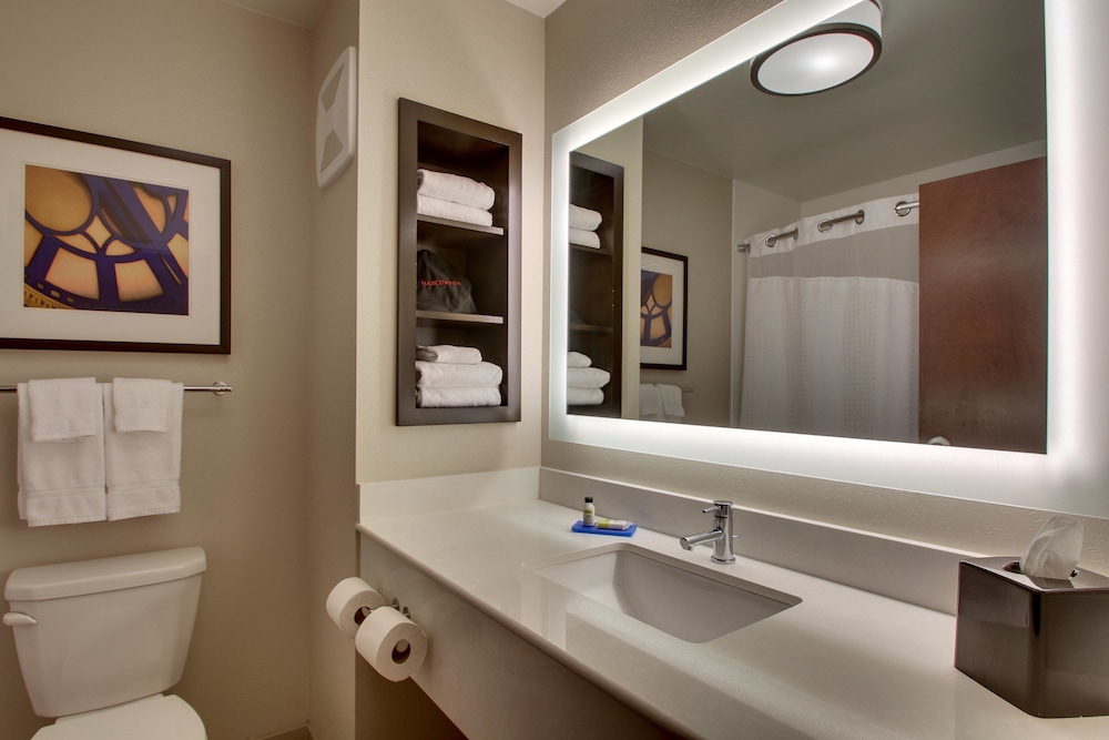 Holiday Inn Express Suites Lancaster East Strasburg 14/52