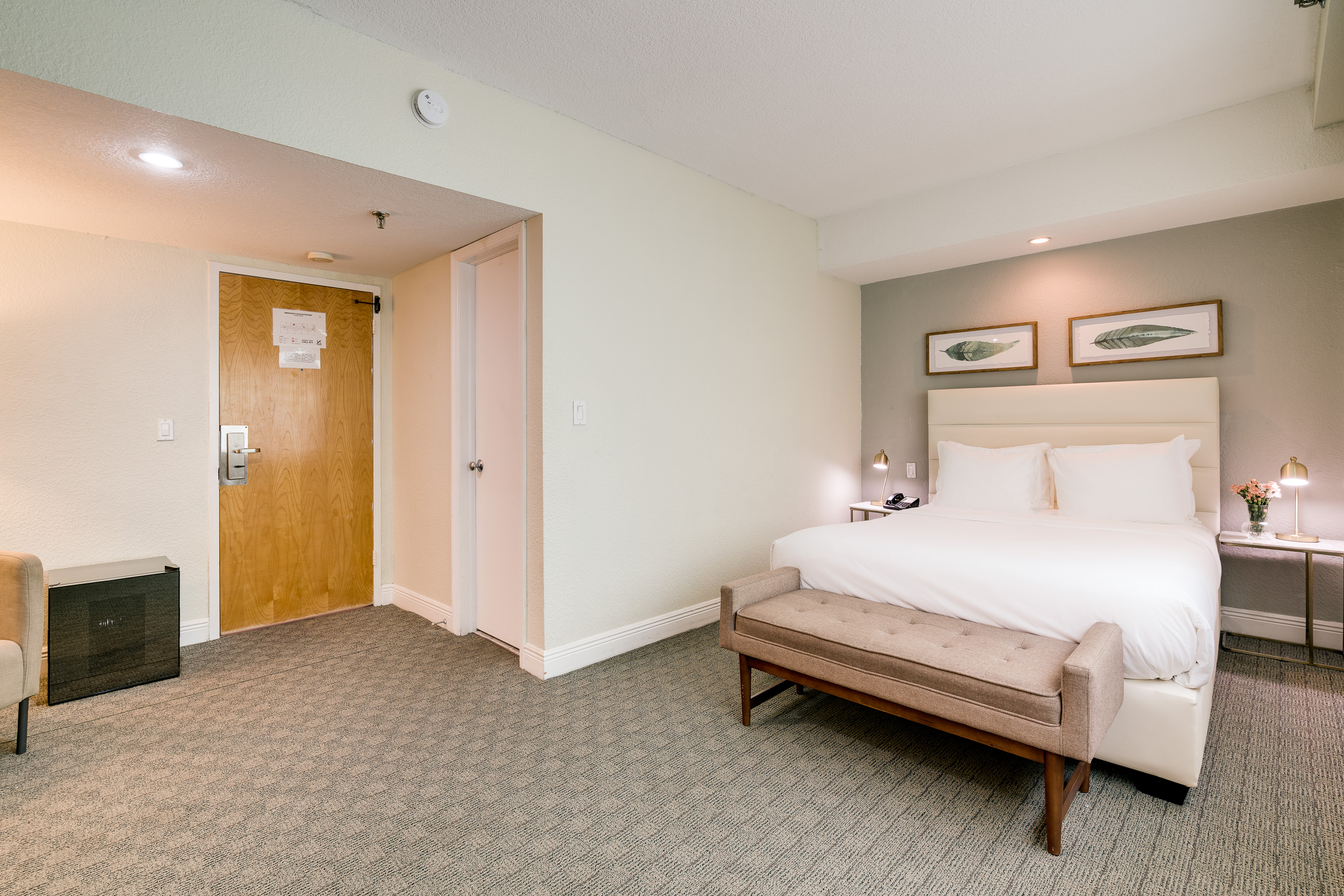 Superior, Queen Bed