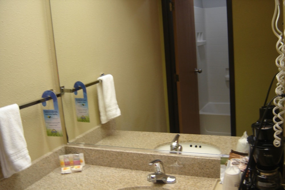 Days Inn By Wyndham Carlsbad Nm 64/65