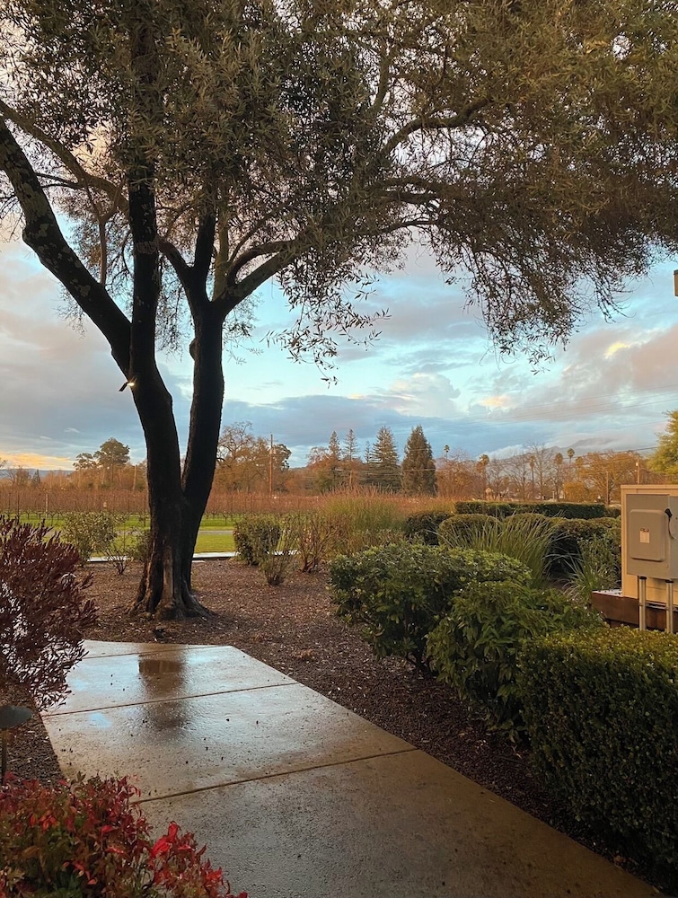 The Setting Inn Napa Valley 45/50