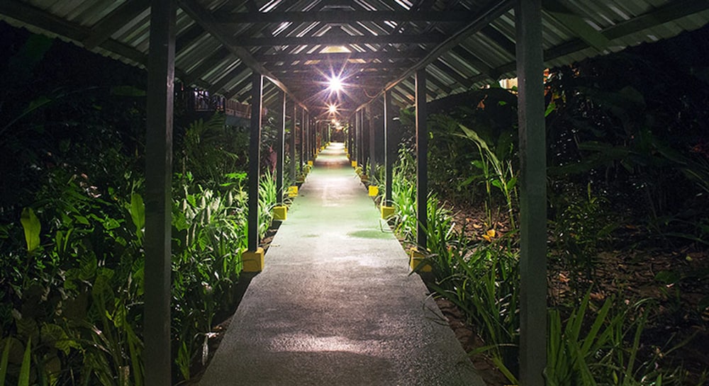 Selva Verde Lodge 63/68