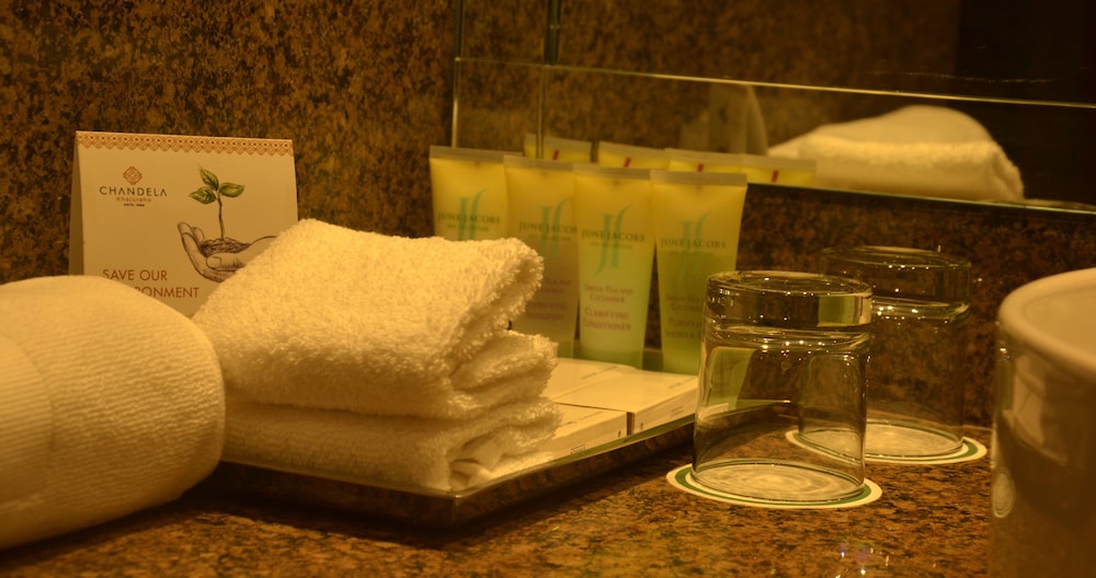 Hotel Chandela Khajuraho 18/50