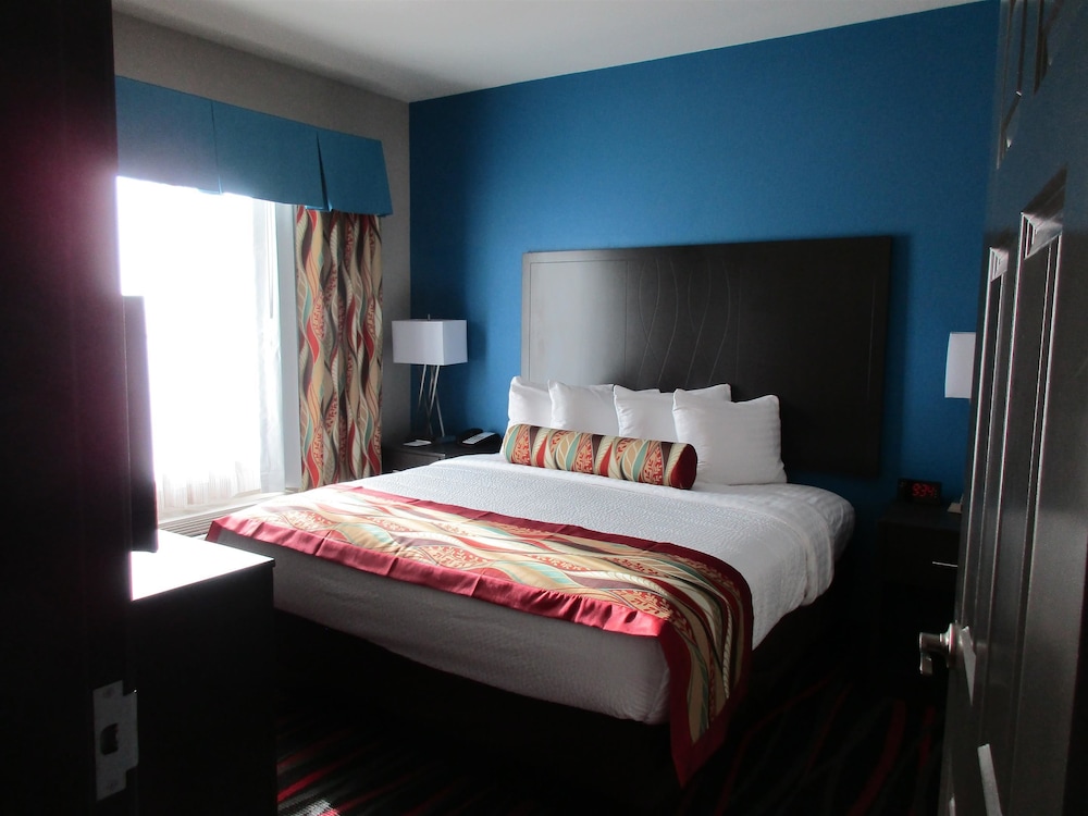 Best Western Plus Tech Medical Center Inn 13/44