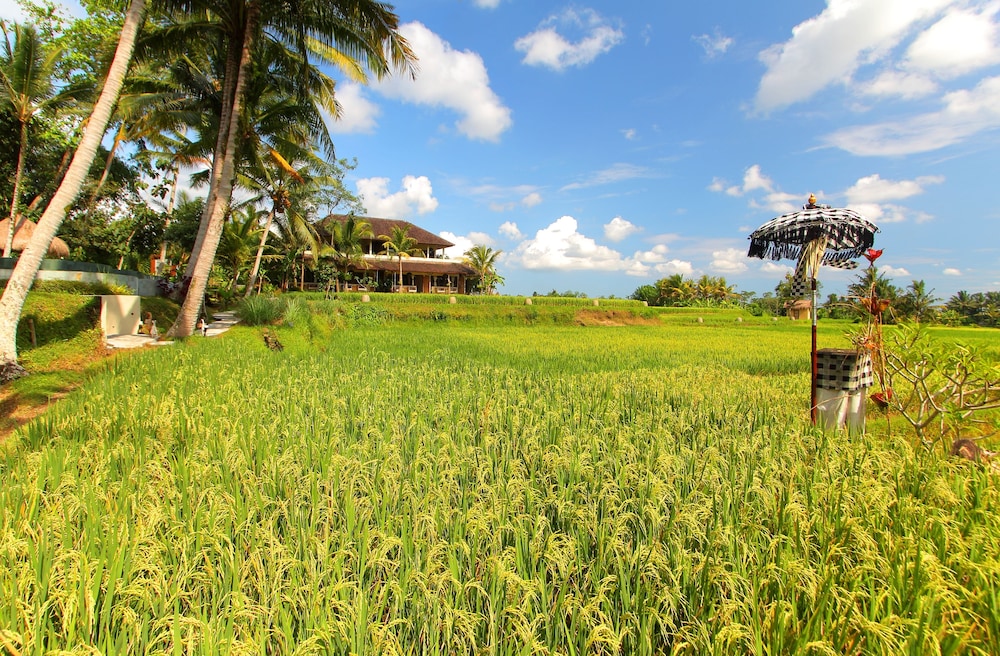 Mathis Retreat Ubud 24/46