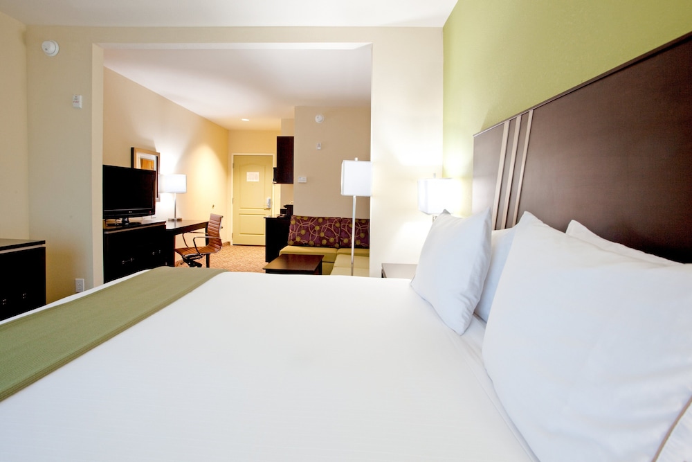 Holiday Inn Express & Suites Clemson - Univ Area 16/82