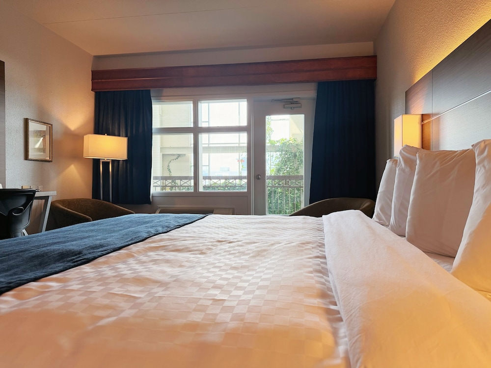 Hotel L'Oie des neiges 23/72