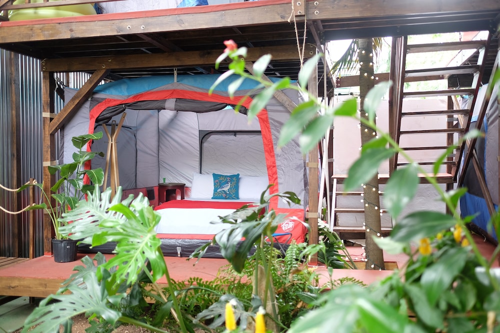 Panama House Bed & Breakfast酒店(Panama House Bed & Breakfast) 图片5