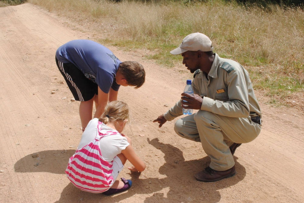Thornybush Game Lodge 36/62