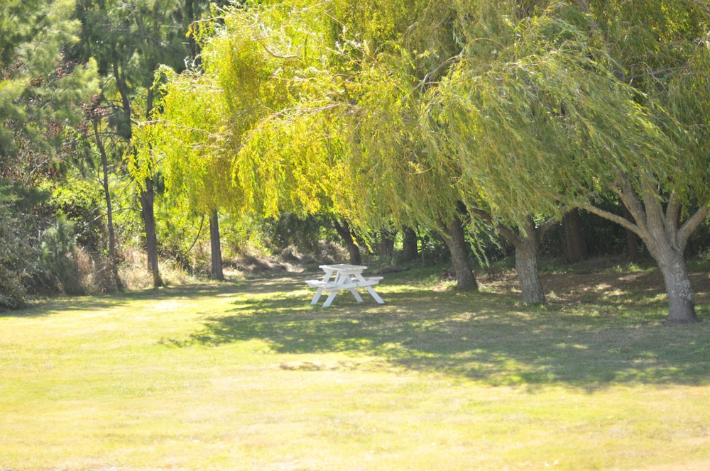 surroundings
