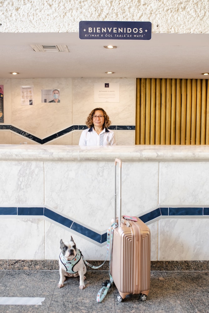 Los Aluxes Hotel 6/50