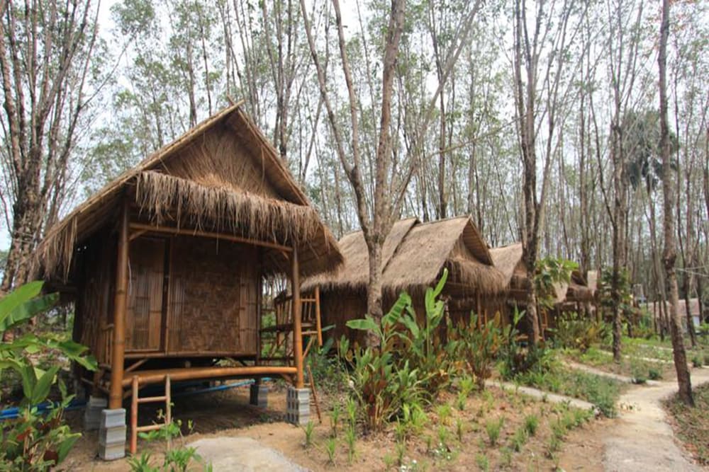 Rabbit Bungalow 10/38