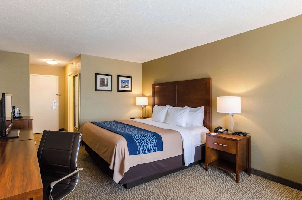 ROOM, KING BED, ACCESSIBLE