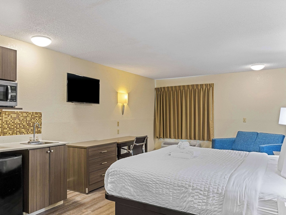 SUITE, KING BED