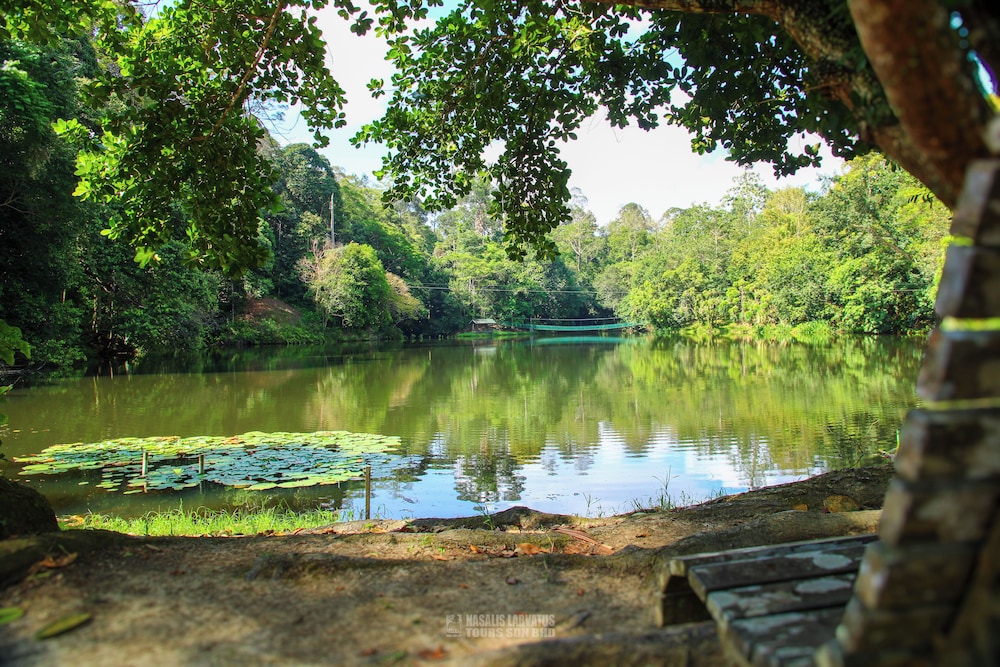 Nature Lodge Sepilok 48/51