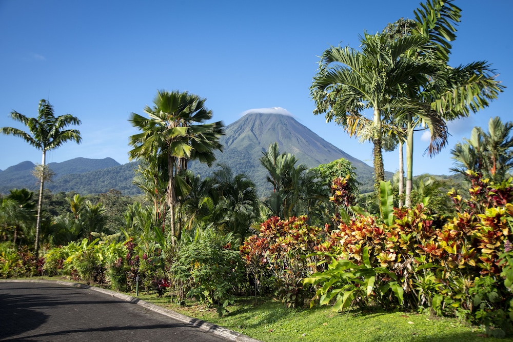 Arenal Manoa And Hot Springs 42/50