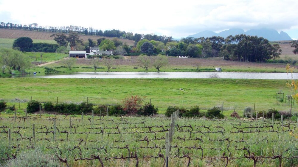 Clos Malverne Wine Estate Accommodation 36/46