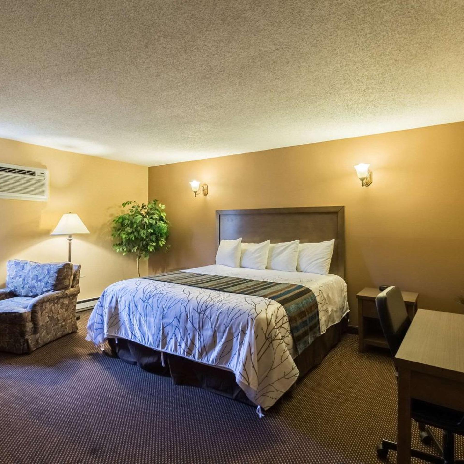 Efficiency, Suite, King Bed